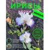 Ирисы /  ОПТ 100 штук